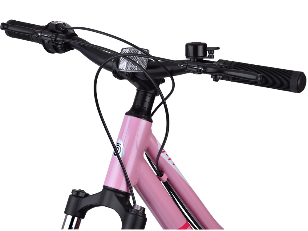 RoyalBaby bicykel 24, Student pre deti a mládež